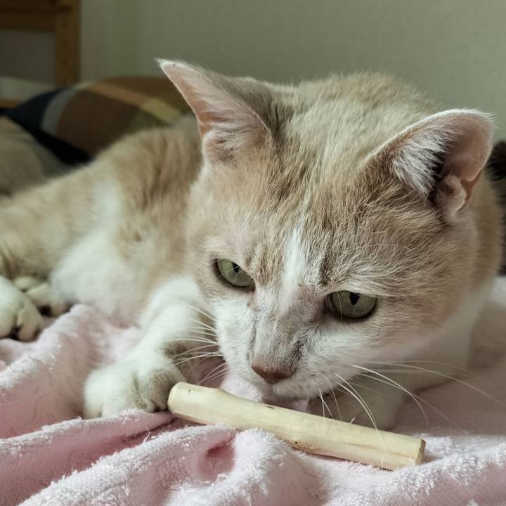 5f3ae106 528d 421e 9f41 59baa7338f10 1632022590111