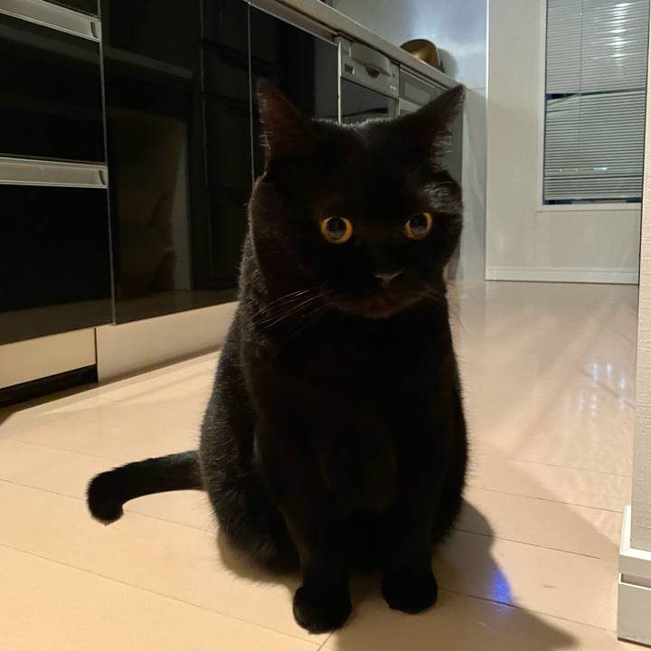 5f3ae9a6 74ba 4f30 a9fb c8ec21334e02 1669814710829