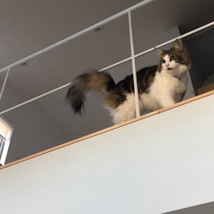 5f3aea1d 6543 44e2 8cf2 76c1e4f2ed23 1513205481774