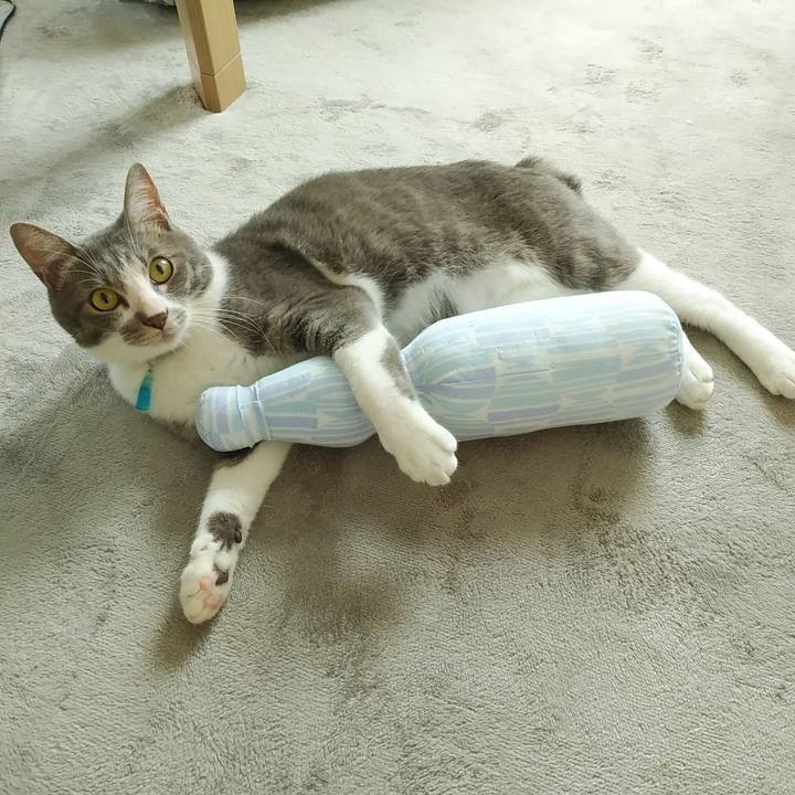 5f3aed10 ab05 4292 8ee8 7e22efd6320c 1593903214611