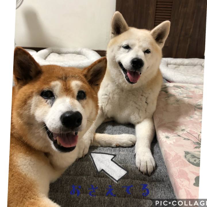 5f3aedf1 5947 47fd b8b5 150a2d5b0644 1599089097895