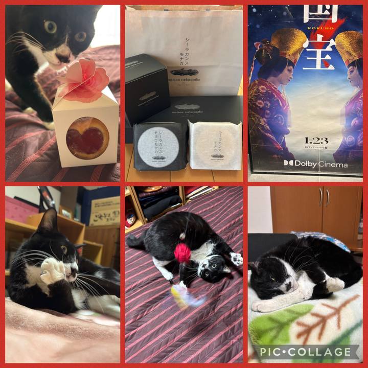 5f3aeeb0 72ed 458f a343 e966f2ecb741 1769766011086