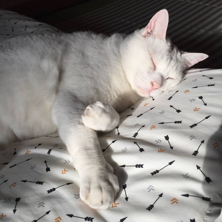 5f3b0489 f77d 4fe1 88f2 be989e96978d 1539125234103