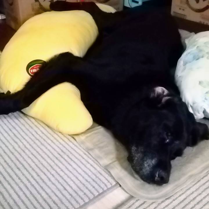 5f3b18cc 5f62 4944 a1db 6953f3c9970d 1694411704793