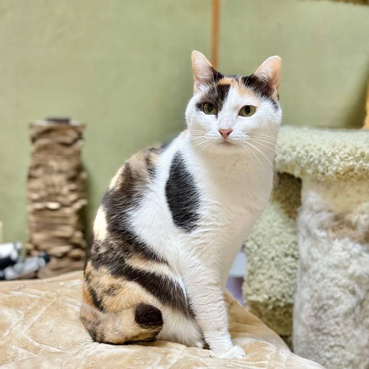 5f3b2353 56d5 474b b15e a20e789c5008 1669171311453