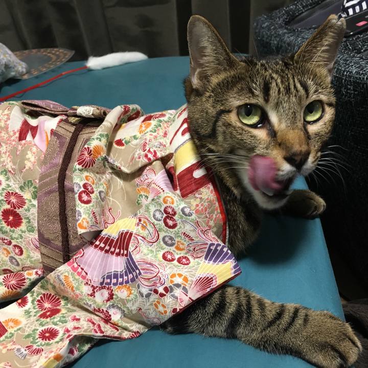 5f3b3f45 918b 4d44 85a4 9e959e452146 1543395820327