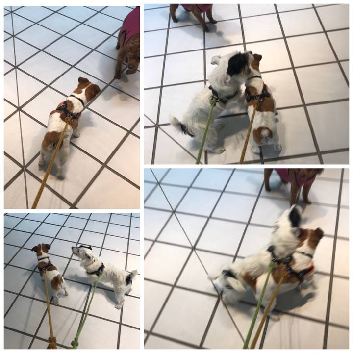 5f3b6e1f 9955 4e0d a0a6 91d49cc6cf49 1527400975972