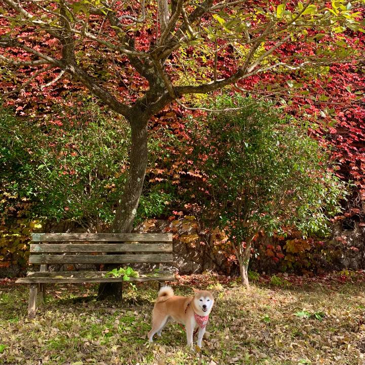 5f3babfb bd2f 41c3 9a46 0424ae07ee63 1667551480564