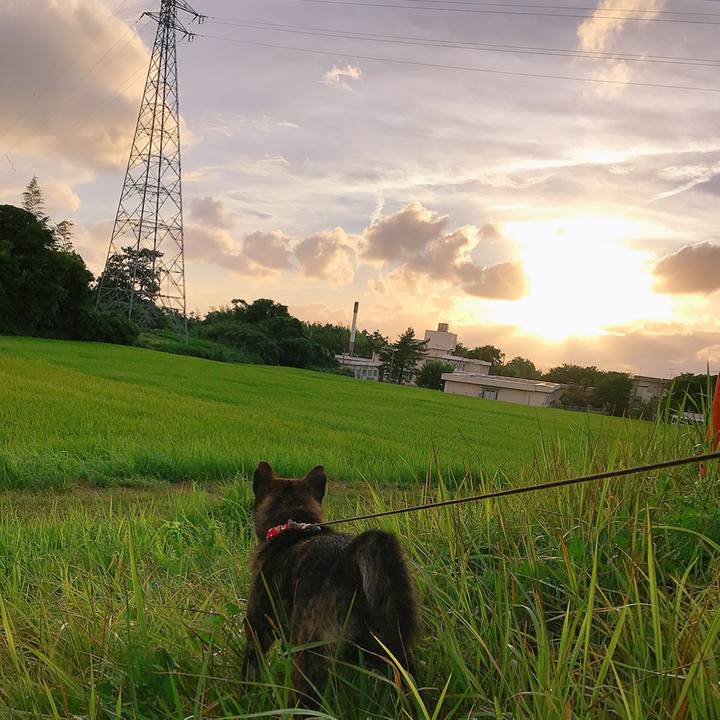 5f3bd711 05d4 4aee 8a99 7e1c8afbc469 1534420881629