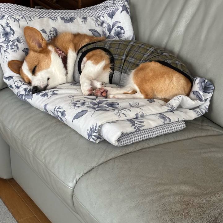 5f3bffba a99b 4407 990e b479ab0a2a67 1760398480757