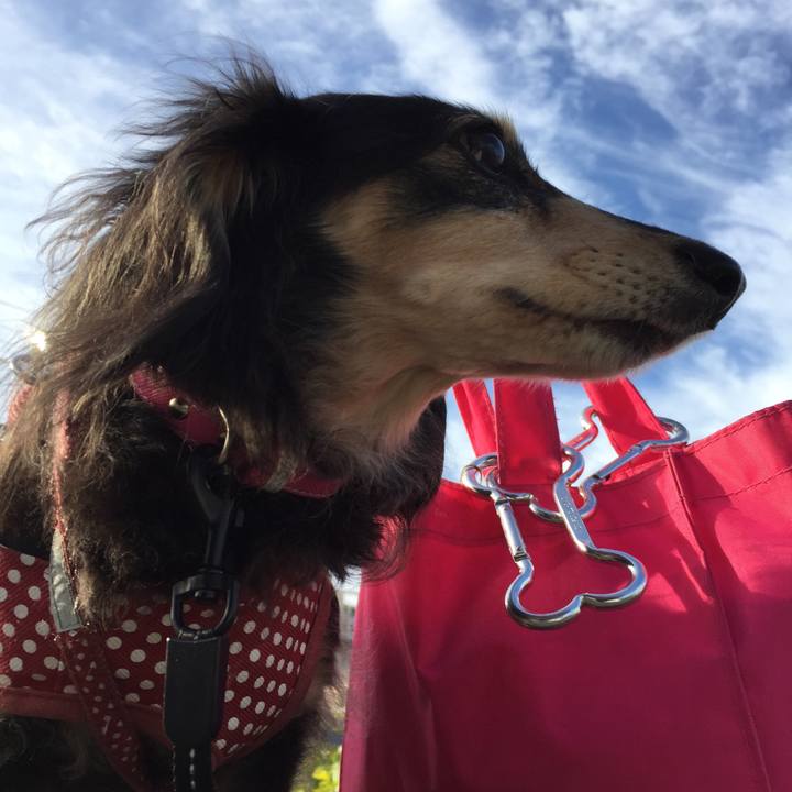 5f3c07e0 db22 4d1e 98df 4ec3bda0233a 1576028804321