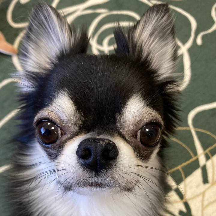 5f3c27e4 5d2d 418a 8fb6 9b8167bb8837 1648856352717