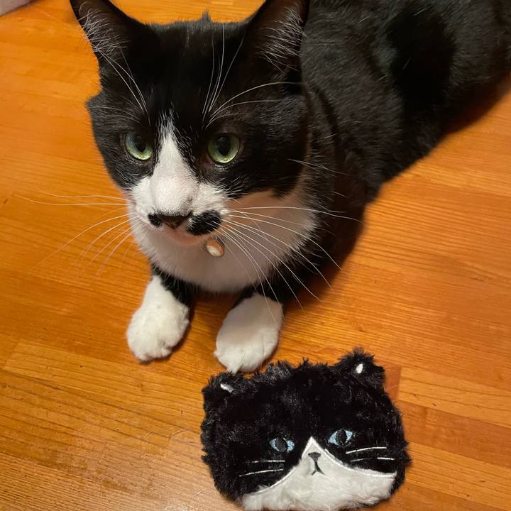 5f3c479b 6f36 4abe a909 9dd86e28e7c7 1732179885089