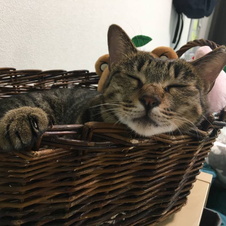 5f3c4b6f 6bfb 4868 9bf2 c734ca4930a5 1537159882368