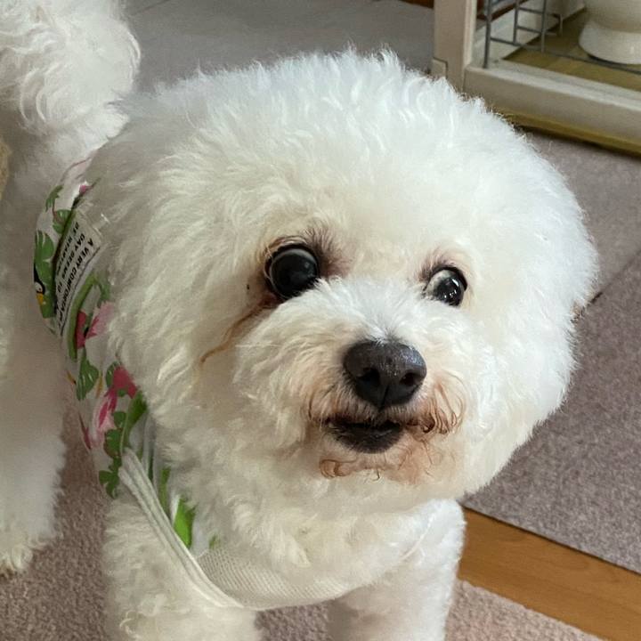 5f3c6284 1c38 44ca 8940 5e227c7c7e01 1752927364668