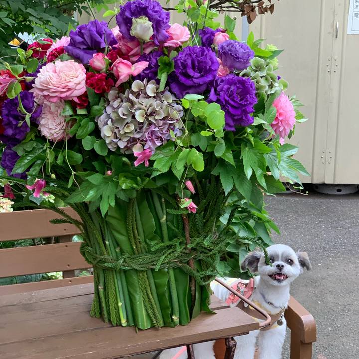 5f3c6c97 9931 431a 9d5f 1d4d0a400782 1572131622187