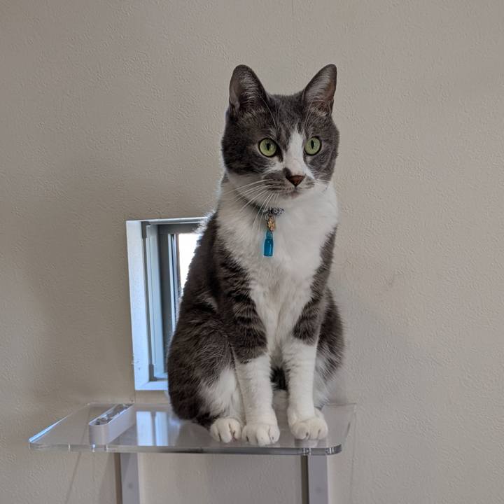 5f3c6d2a e882 44e0 8362 4040bbda957e 1728884658120