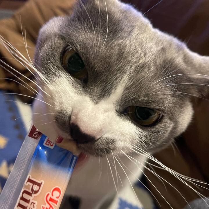 5f3c7cbc 4d00 444f b5f9 b53b096c38e0 1670924226682