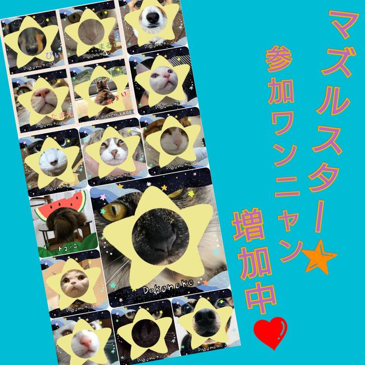 5f3ccbb0 f0a8 4962 8989 fee4bec90986 1721216924790