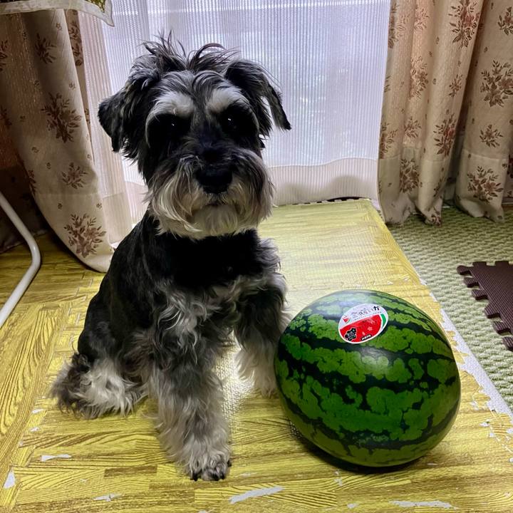 5f3cd46d 1245 489b 8aef 19bad3625182 1719230012960