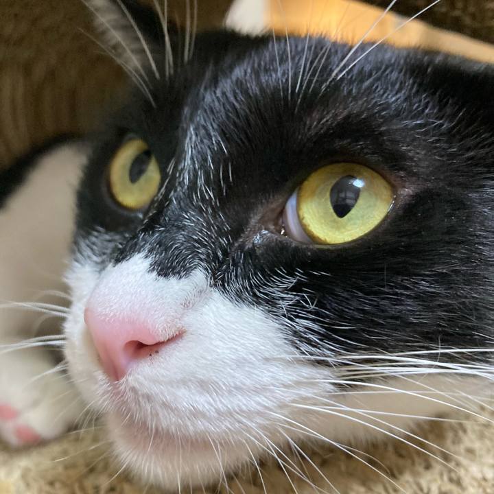 5f3cde18 7be0 4459 bbd4 17766df31046 1630231079666