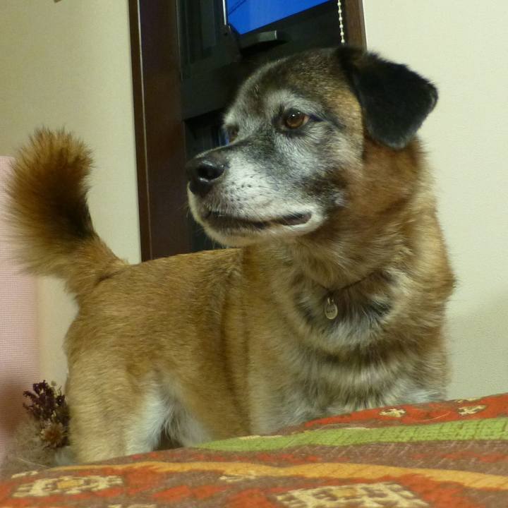 5f3cf8f6 3653 43ed aee4 4a52c27f5402 1614042892438