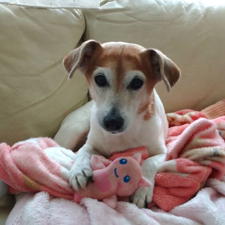 5f3cfd00 62e5 4b75 b988 89f993424588 1762346409428