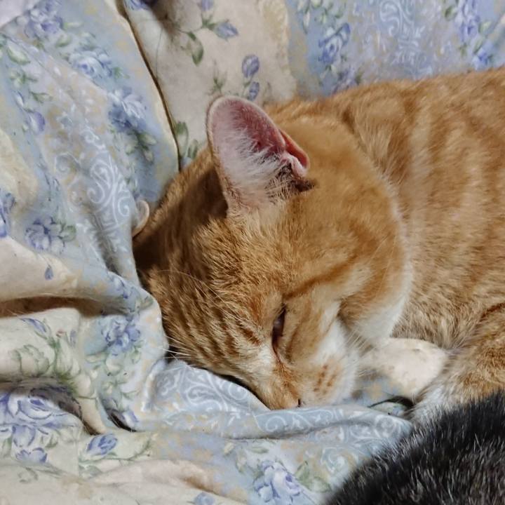 5f3d395a 1cfe 49ad ab18 575fb3d7bbd1 1583668179460