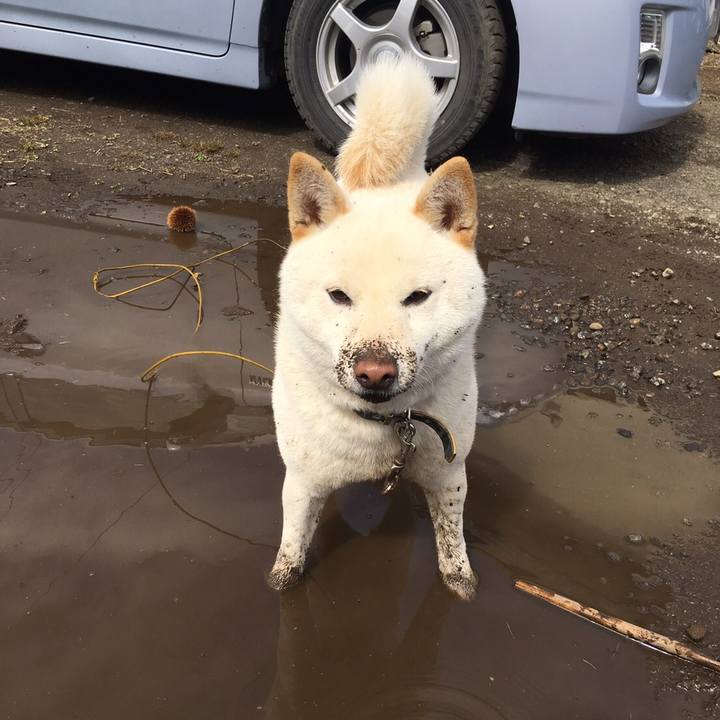 5f3d496d 084c 47aa 8924 c8c8c2c62e7c 1520304916510