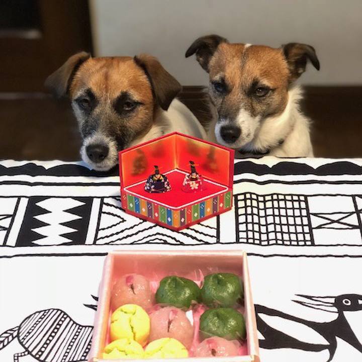 5f3d6335 6093 4a8b aab5 decb13e42fda 1551527358119