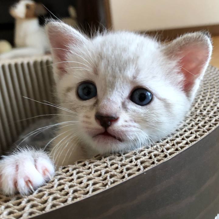 5f3d6cfc d319 45b0 8855 753acf358173 1619144007267