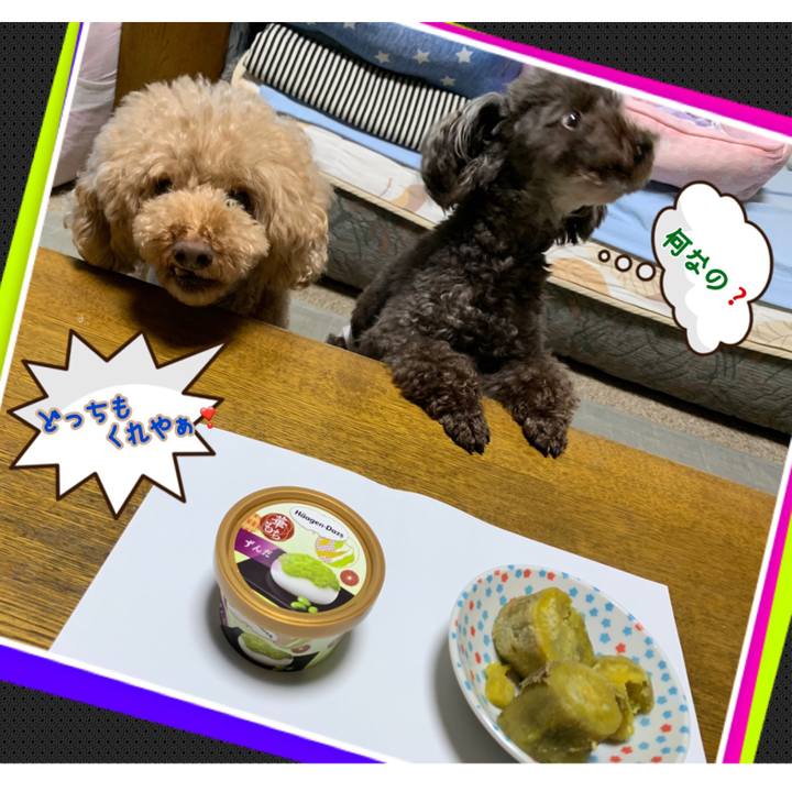 5f3d7b9d 0eb7 44c4 a608 a41ead611a78 1569238277421