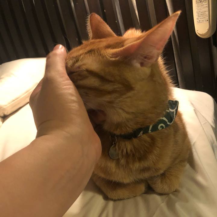 5f3d7bcd e618 4120 a0f1 bbee3000c8b0 1631952046903