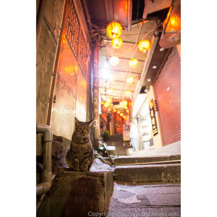 5f3d87f1 c109 4530 abb3 90eaaea9dfdd 1580696090862