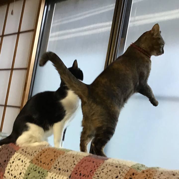 5f3da0d3 e493 4b87 bf32 9558a9ab4b48 1639350092980