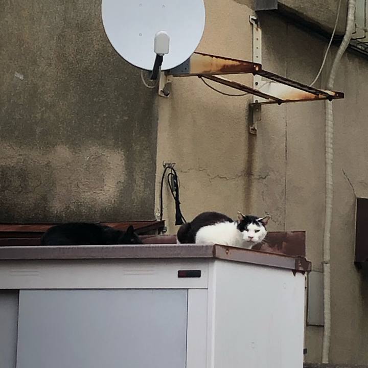 5f3db66f ac78 42f0 8a1d 148019cdccfa 1603575336463