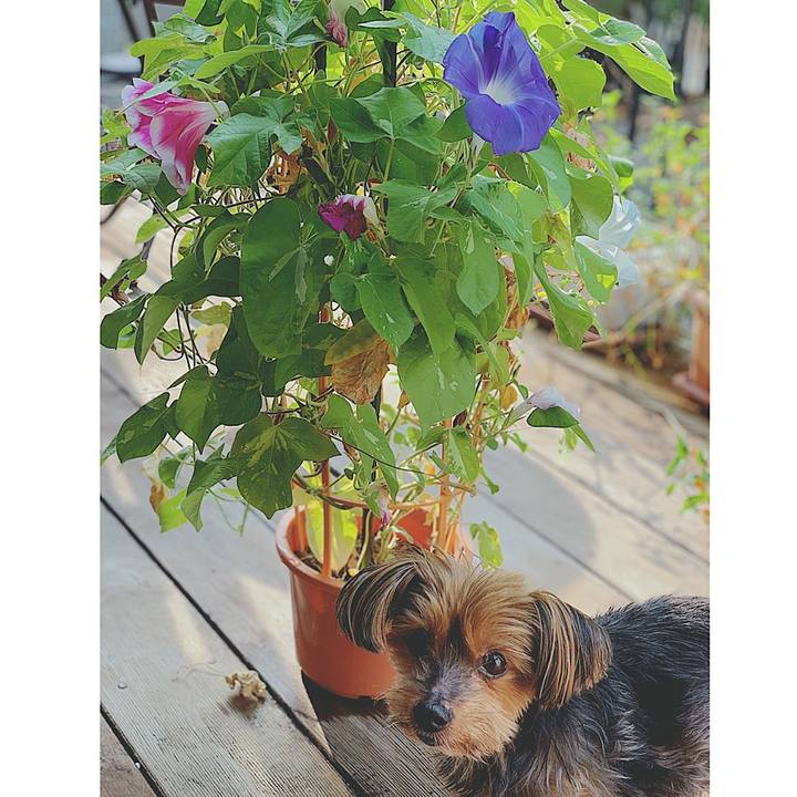 5f3dbbc6 fda3 4a0f a9ca 6f3552c718e0 1629930405027