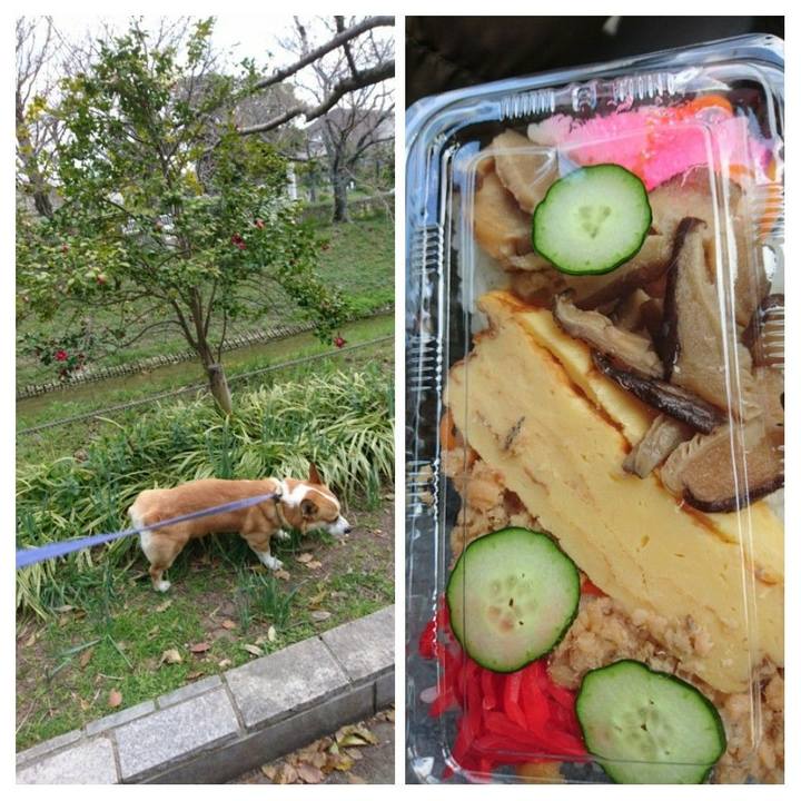 5f3df12f cb23 475d ad54 6d21539d2d33 1585048310646