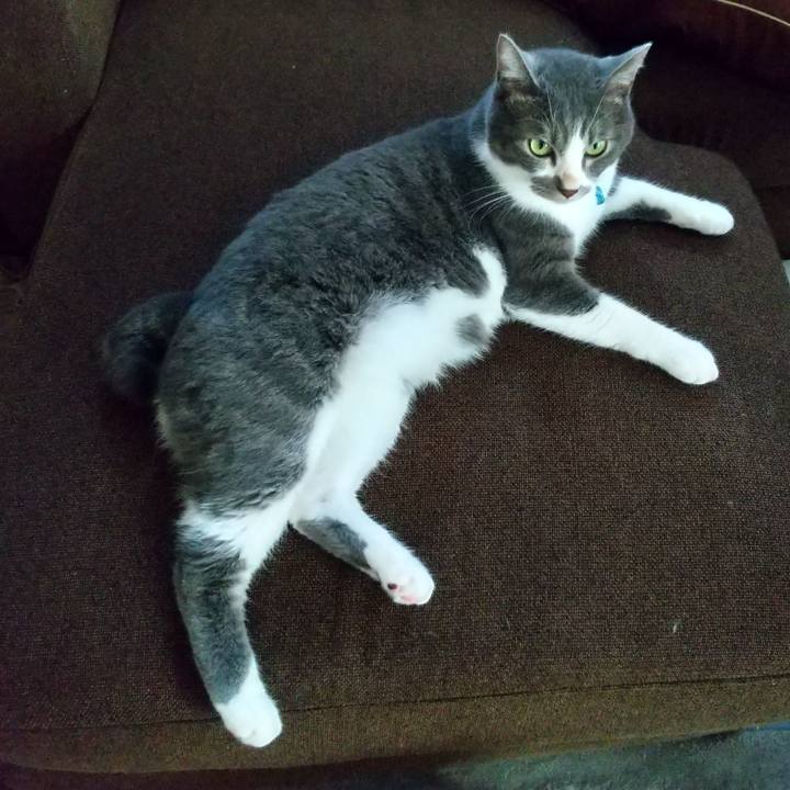 5f3e2e7a 1864 45c2 ab56 90db5a8a46a5 1631347221641