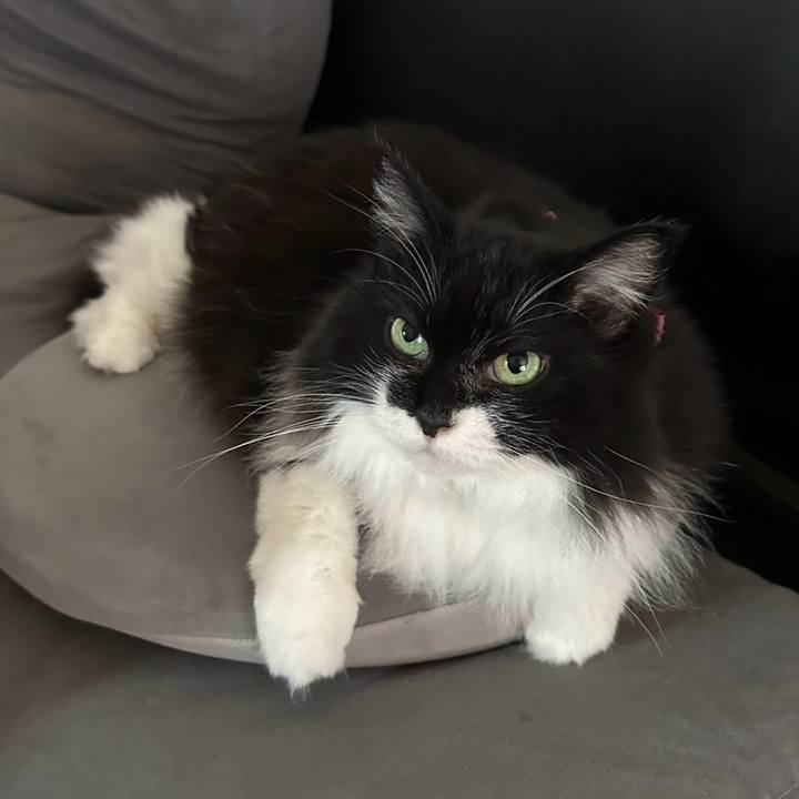 5f3e32b7 7505 43a6 832c 0a93488b16b8 1755510580710