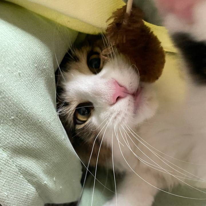 5f3e409d 5fc4 43e9 b79f 7cfa21e9d4e0 1635336139728