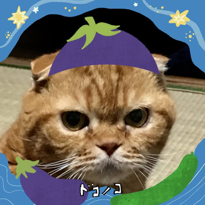 5f3e4b28 808e 46ec b483 722fbc4d22dd 1755497635688