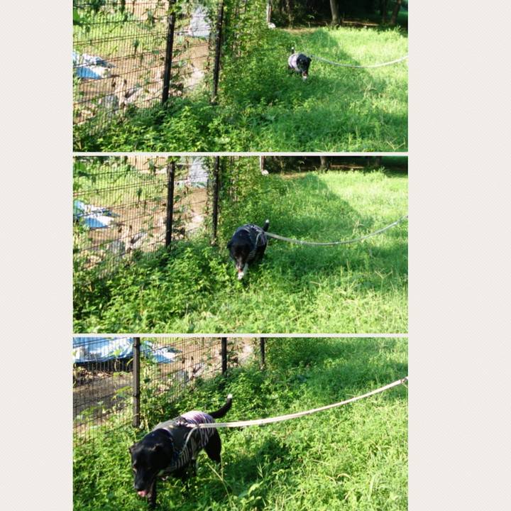 5f3e5731 5ee8 47b2 be40 3bf41fda8999 1660002868225