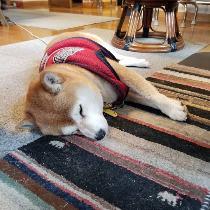 5f3e76ac 0793 4d92 b850 d814097b71e5 1608594004593