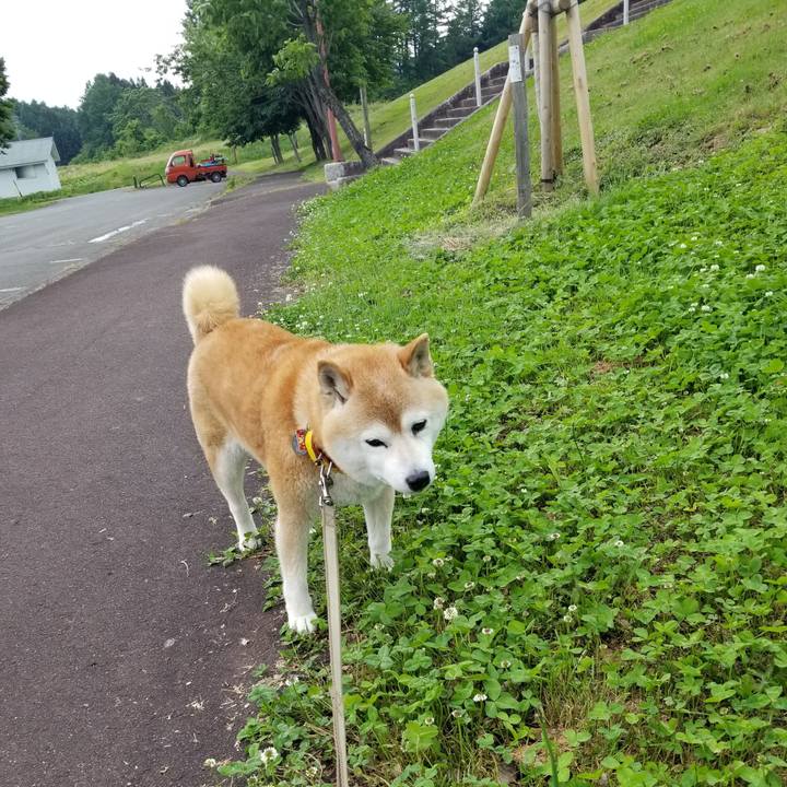 5f3eb77b c2a4 42c7 8cce bd7cfdf25910 1685087811598