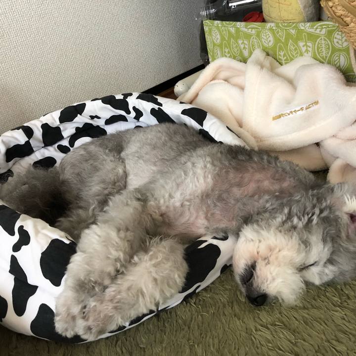 5f3ef85f caf7 4fd1 8fdd 0a46943efdf6 1536578068818