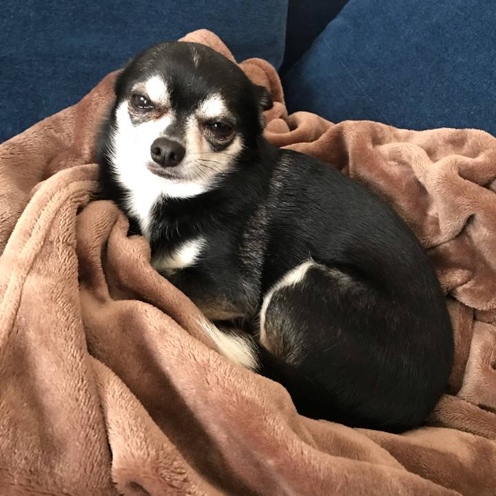 5f3efd35 a64e 4e91 bc33 f099420f69cf 1553913533267