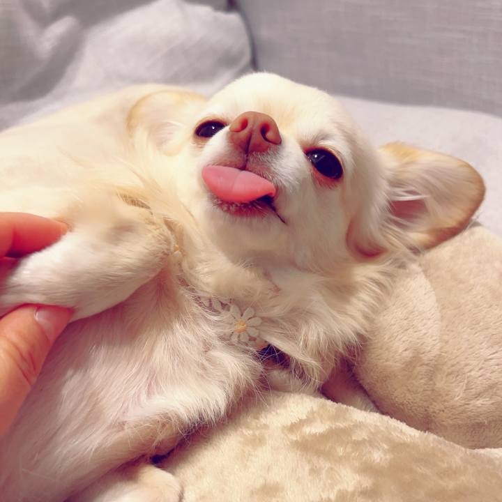 5f3f3d01 7f16 4f7d 8be3 c1ba5b4178a7 1703160024177