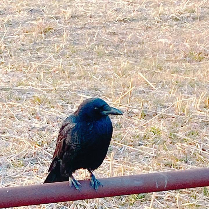 5f3f5b7a 00b1 4735 acba 5f9aefd293cf 1644659061926