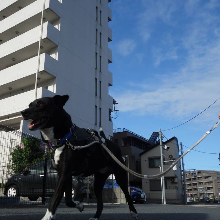 5f3f61b5 bdbf 473d a879 0e64f64dbd13 1662855344765